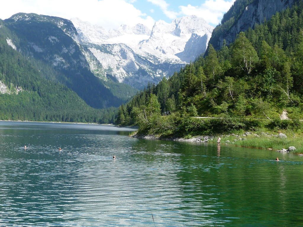 Ferienwohnung Inge Gapp Gosau Rum bild